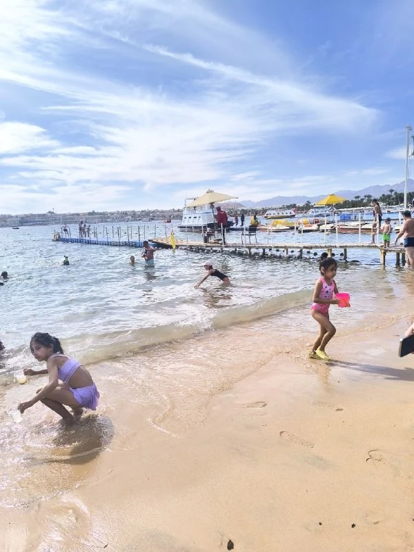 Фото отеля SWISSOTEL SHARM EL SHEIKH