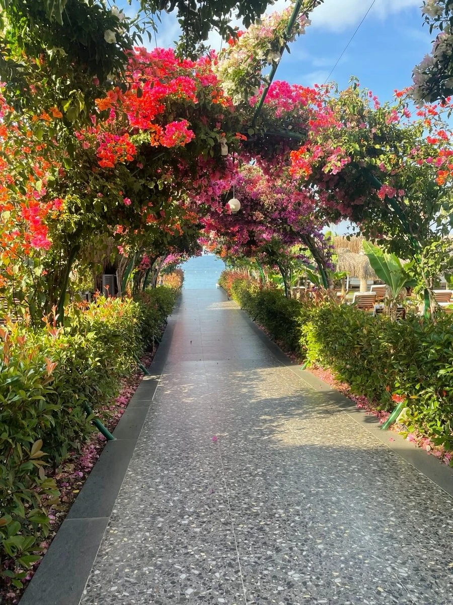 Фото отеля RUBI PLATINUM SIGN