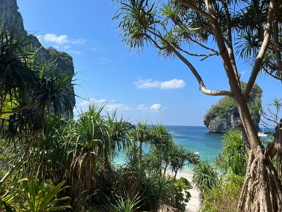 Фото отеля BLU MONKEY PHI PHI ISLAND
