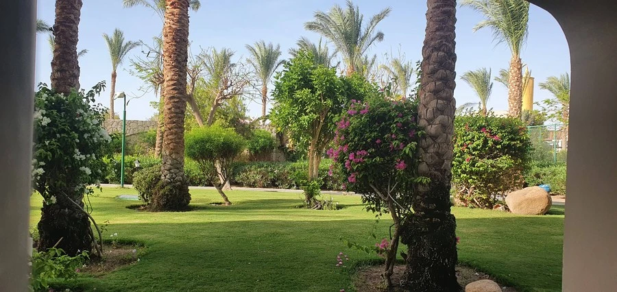 Фото отеля JAZ MIRABEL BEACH