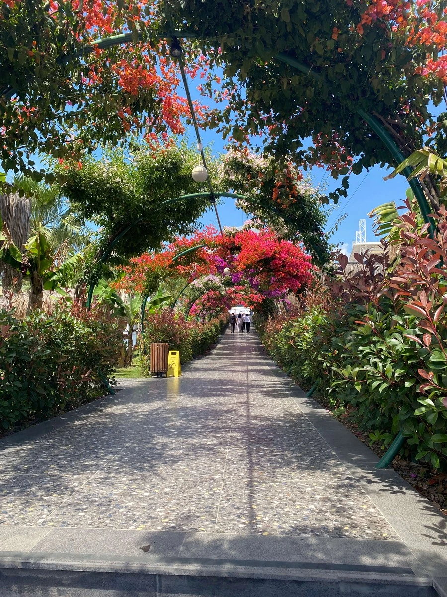 Фото отеля RUBI PLATINUM SIGN