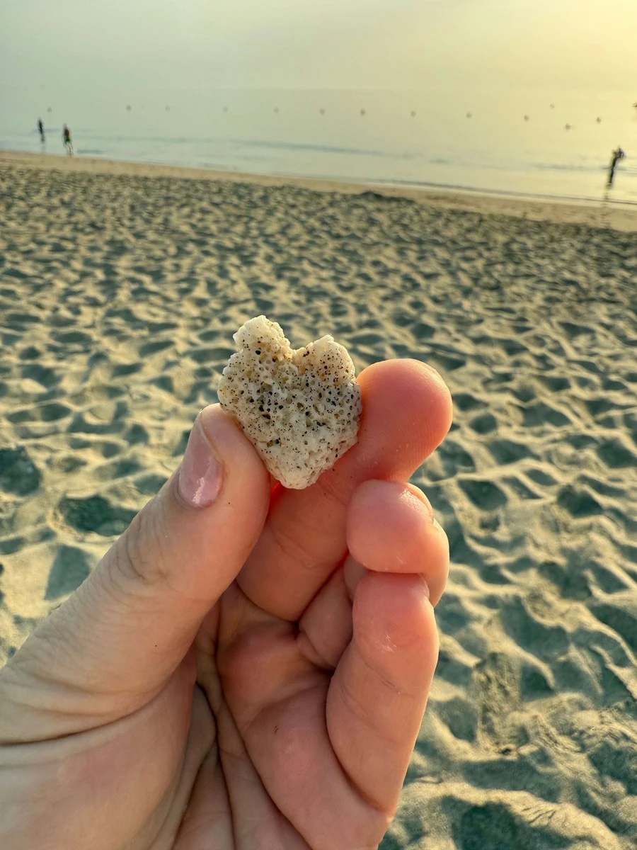 Фото отеля MIRAMAR AL AQAH BEACH RESORT