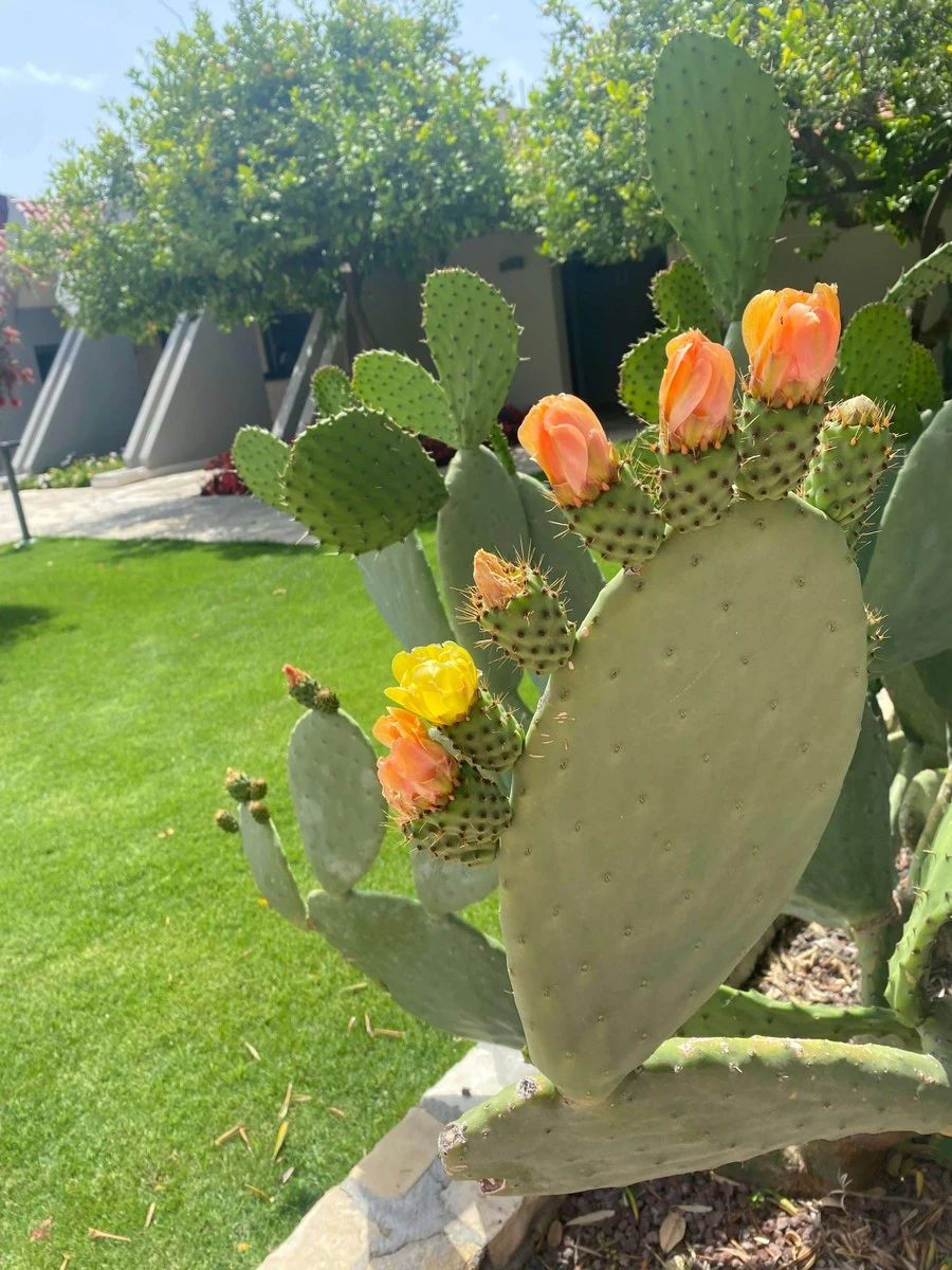 Фото отеля ARUM BARUT COLLECTION