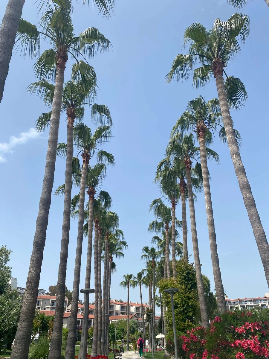 Фото отеля ARUM BARUT COLLECTION