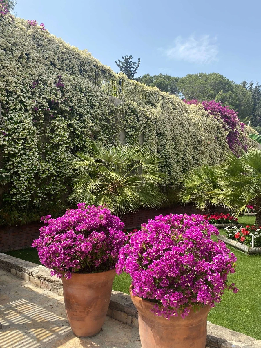 Фото отеля ARUM BARUT COLLECTION