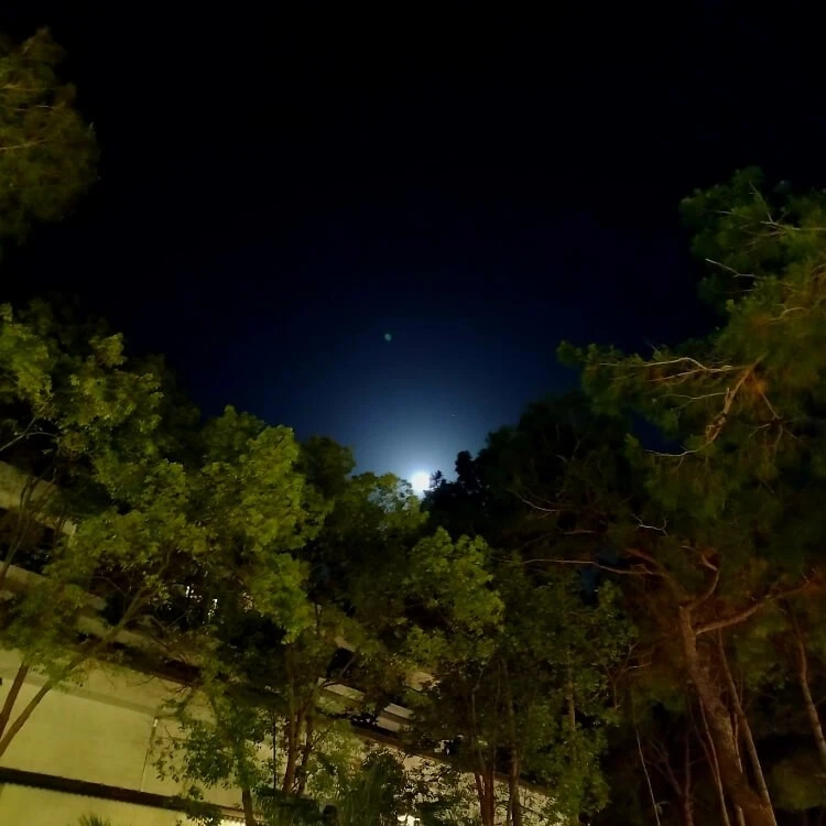 Фото отеля NIRVANA MEDITERRANEAN EXCELLENCE