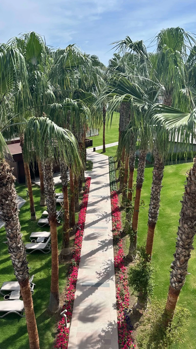 Фото отеля PAPILLON ZEUGMA RELAXURY