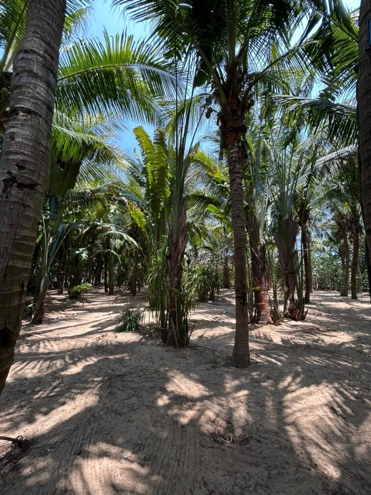 Фото отеля ATLANTIS SANYA
