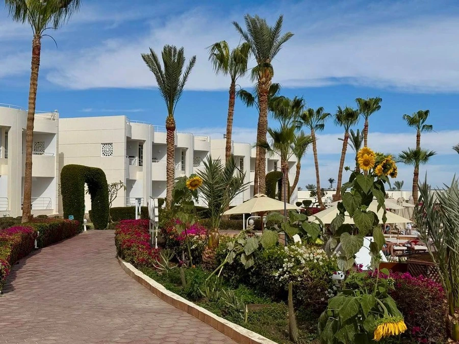 Фото отеля SHARM REEF