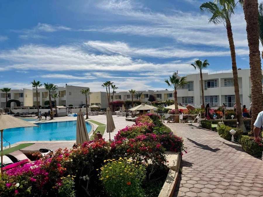 Фото отеля SHARM REEF