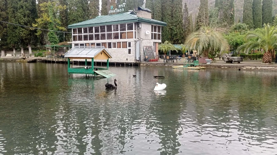 Фото отеля РОДИНА