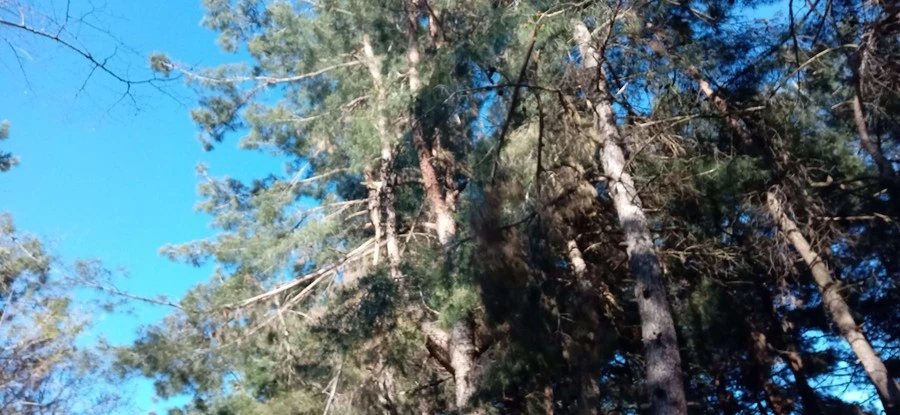 Фото отеля ЛИТФОНД