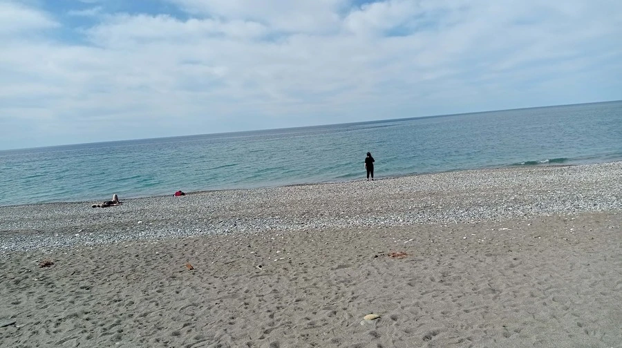 Фото отеля САМШИТОВАЯ РОЩА