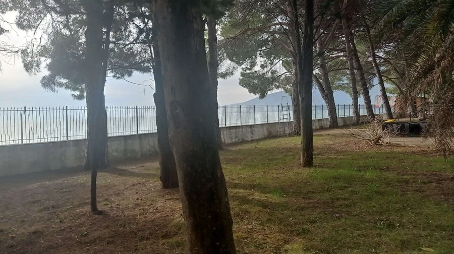 Фото отеля ЖОЭКВАРА