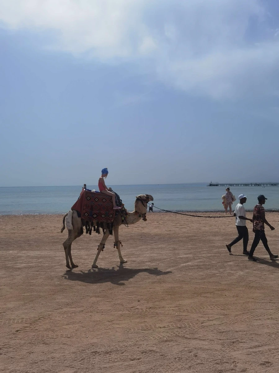 Фото отеля REGENCY PLAZA AQUA PARK & SPA