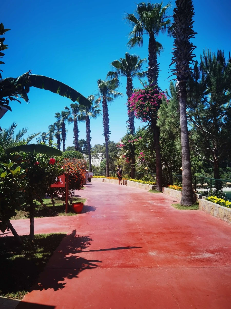 Фото отеля CLUB & HOTEL LETOONIA