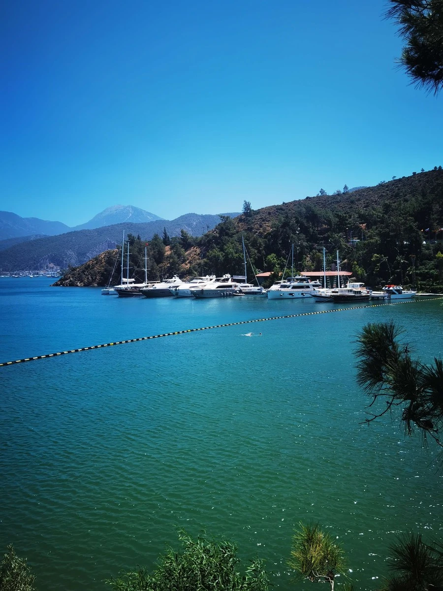 Фото отеля CLUB & HOTEL LETOONIA