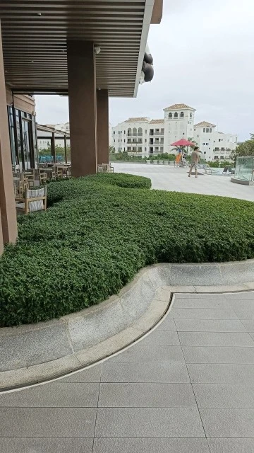 Фото отеля HUALUXE SANYA YALONG BAY RESORT