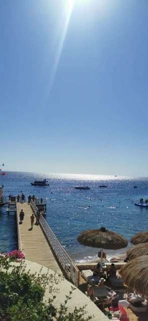 Фото отеля MERAKI RESORT SHARM EL SHEIKH ADULTS ONLY 16+