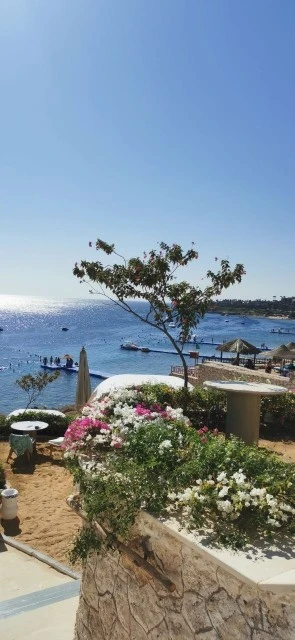 Фото отеля MERAKI RESORT SHARM EL SHEIKH ADULTS ONLY 16+