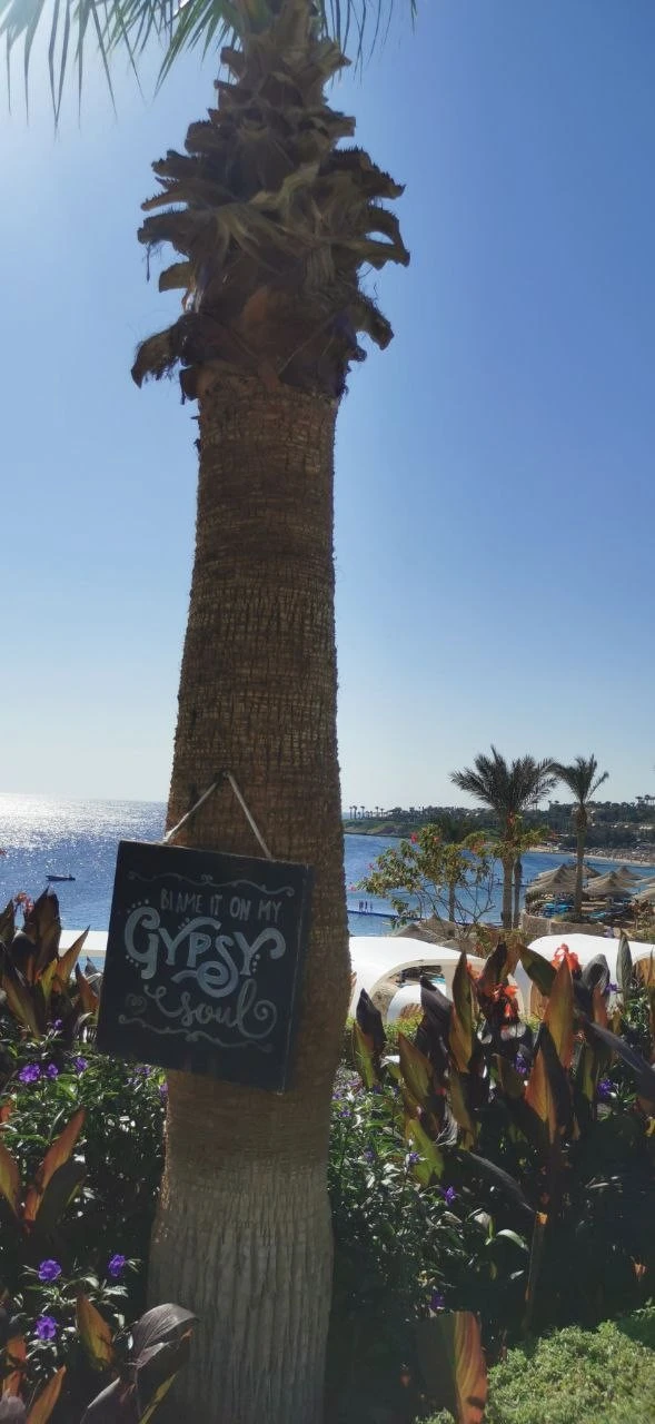 Фото отеля MERAKI RESORT SHARM EL SHEIKH ADULTS ONLY 16+