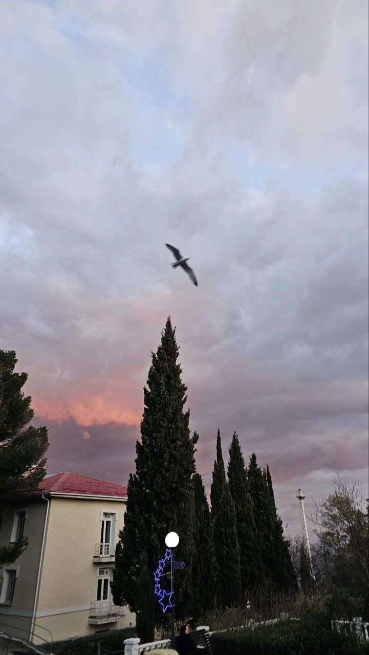 Фото отеля БЕЛОРУССИЯ