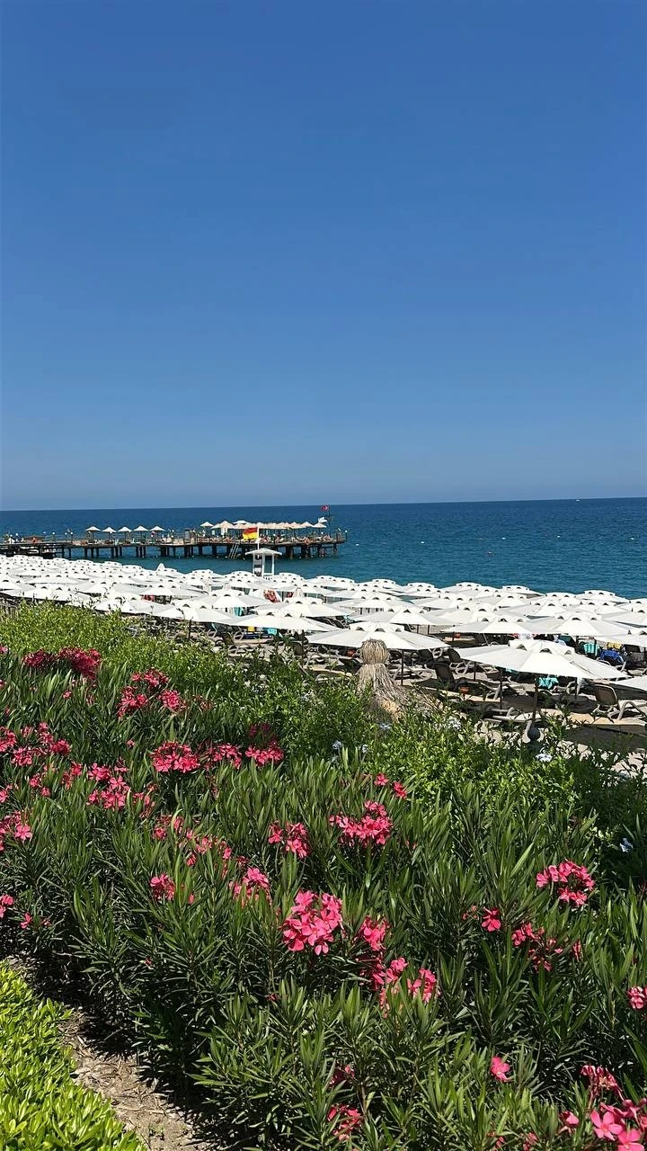 Фото отеля DOBEDAN WORLD PALACE (EX. ALVA DONNA WORLD PALACE)