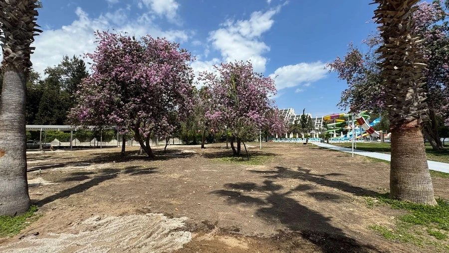 Фото отеля AMARA COMFORT KEMER (EX. LOXIA COMFORT RESORT)