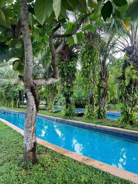 Фото отеля WESTIN SANYA HAITANG BAY RESORT