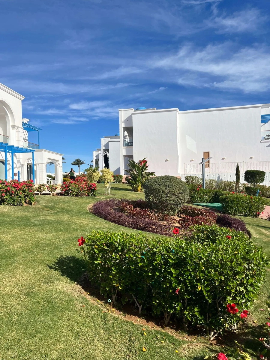 Фото отеля FUN&SUN FAMILY ALBATROS PALACE