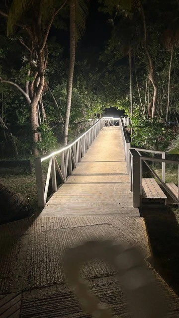 Фото отеля SOL PALMERAS