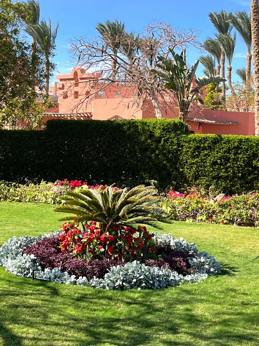 Фото отеля NUBIAN ISLAND