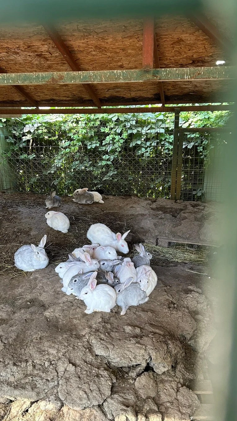 Фото отеля CRYSTAL FLORA BEACH RESORT