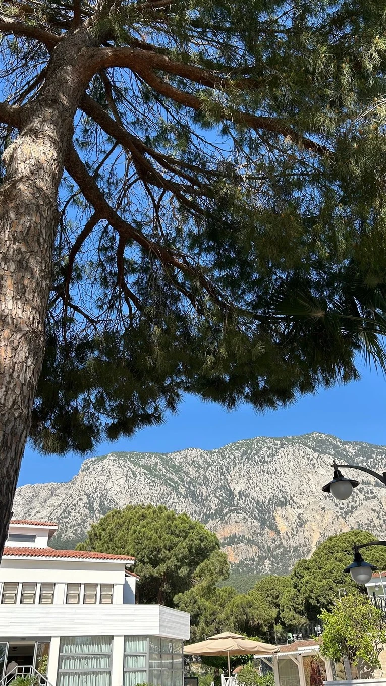 Фото отеля CRYSTAL FLORA BEACH RESORT