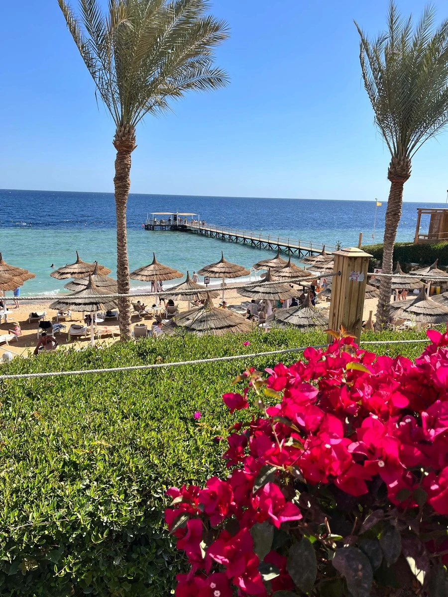 Фото отеля SUNRISE GRAND SELECT MONTEMARE RESORT