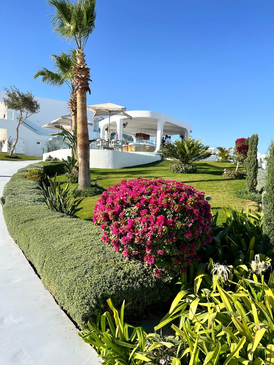 Фото отеля MERAKI RESORT SHARM EL SHEIKH ADULTS ONLY 16+