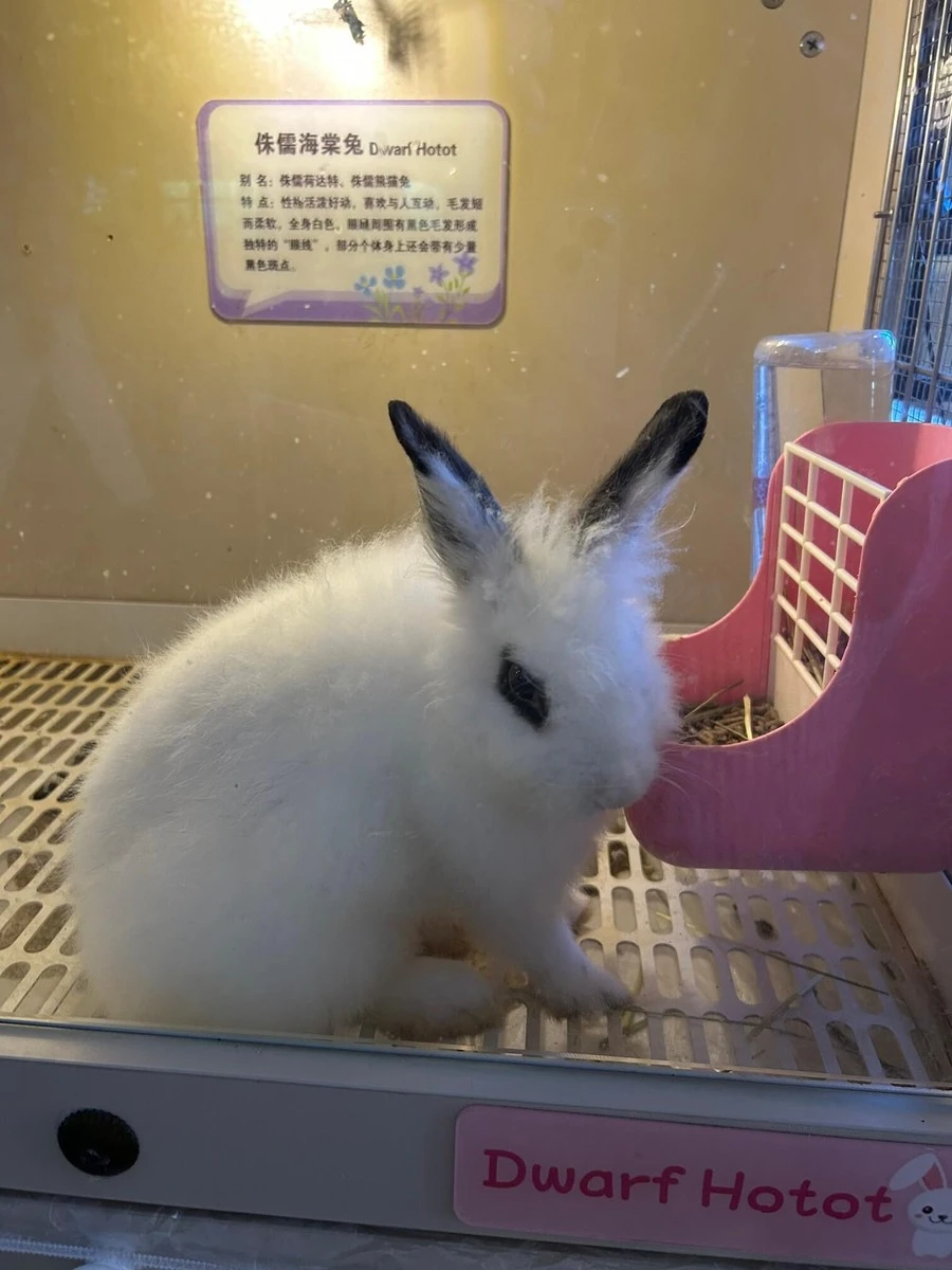 Фото отеля HORIZON RESORT & SPA