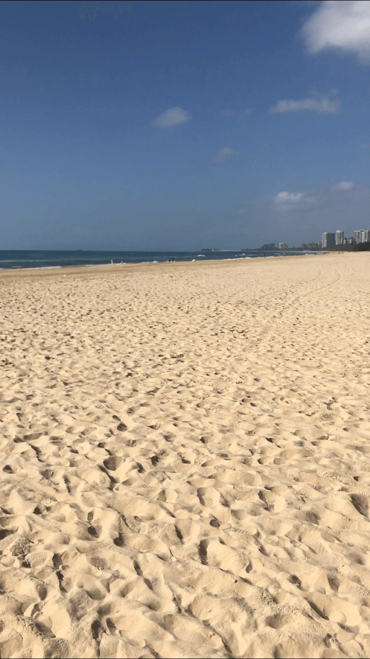 Фото отеля ALOHA OCEANFRONT SUITE RESORT