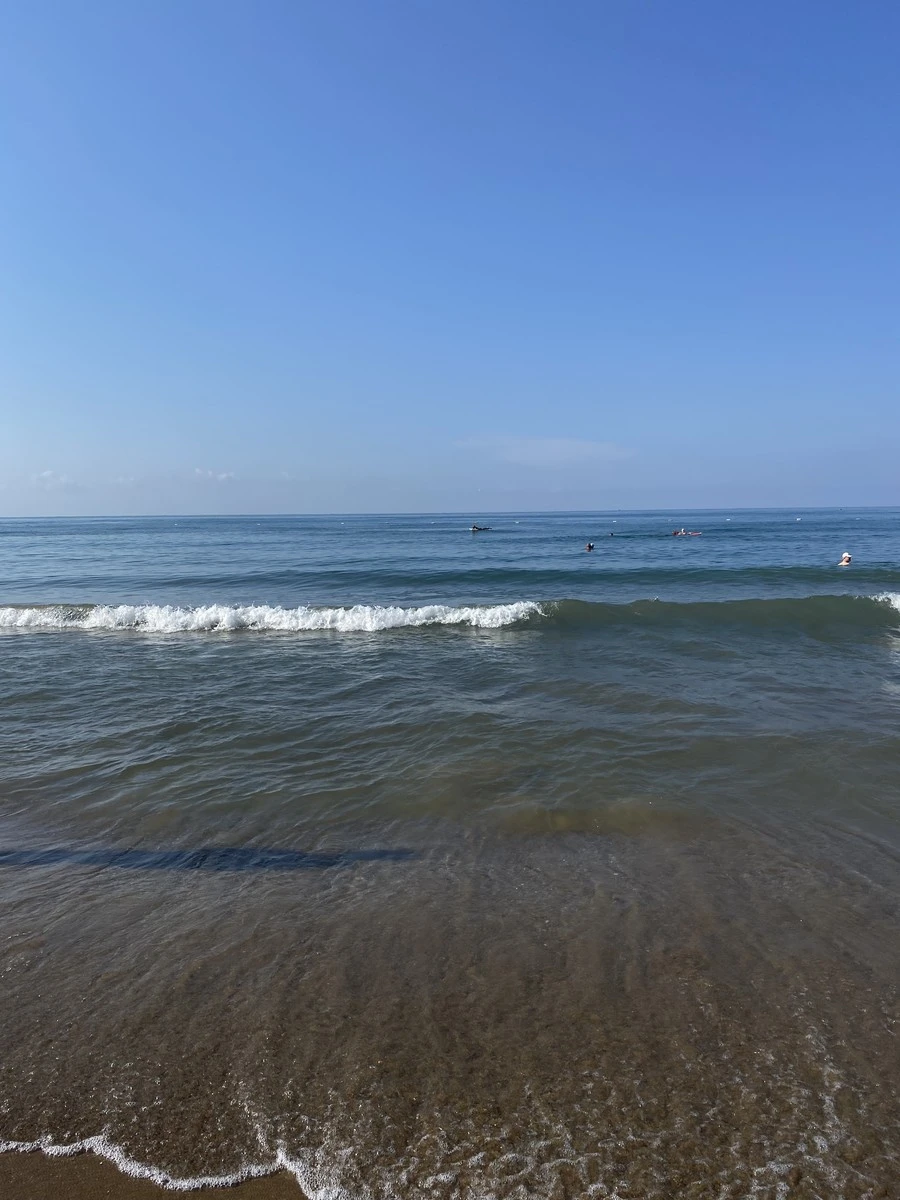 Фото отеля SIDE CROWN PALACE