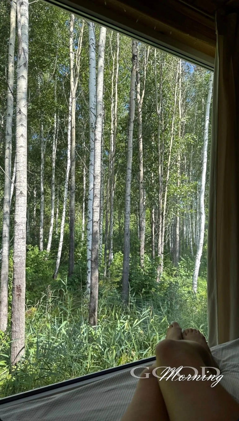 Фото отеля ШЕЛЕСТ