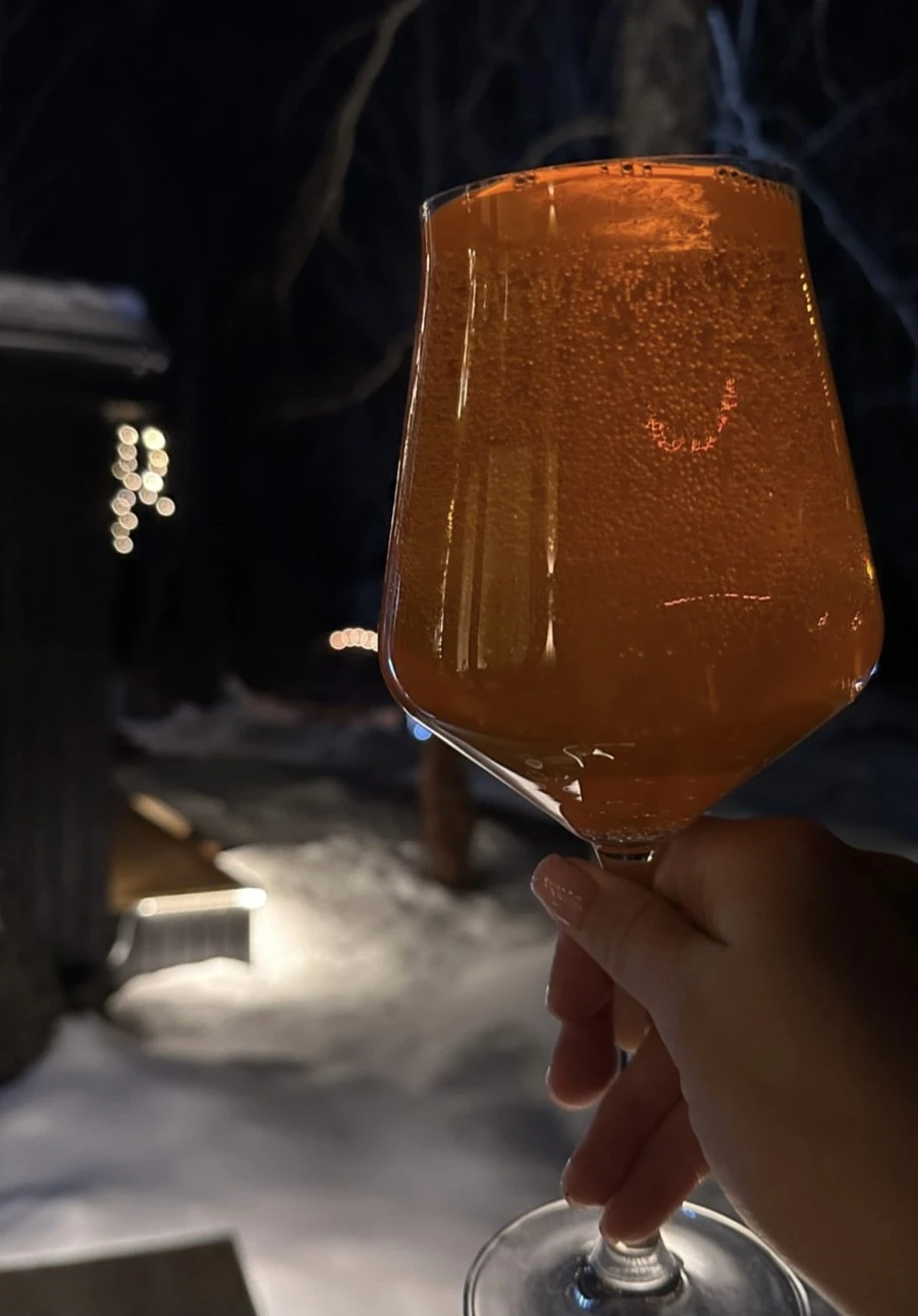 Фото отеля WHITEWOOD ГЛЭМПИНГ