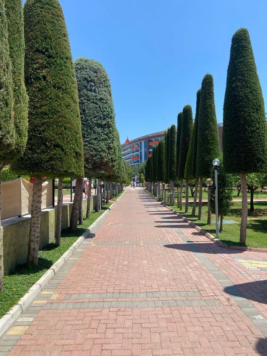 Фото отеля LONICERA RESORT & SPA HOTEL