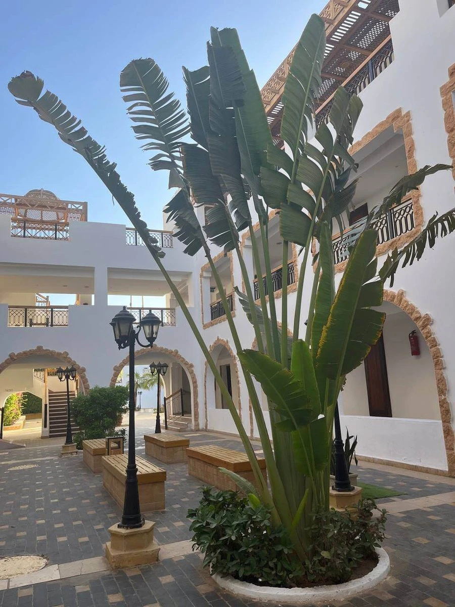 Фото отеля SUNRISE REMAL BEACH RESORT