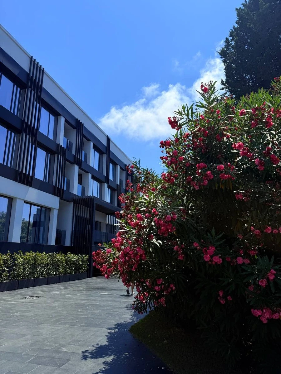 Фото отеля МОНЕ