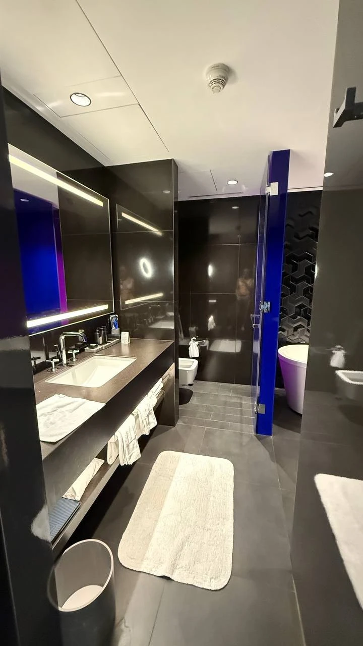 Фото отеля W DUBAI THE PALM