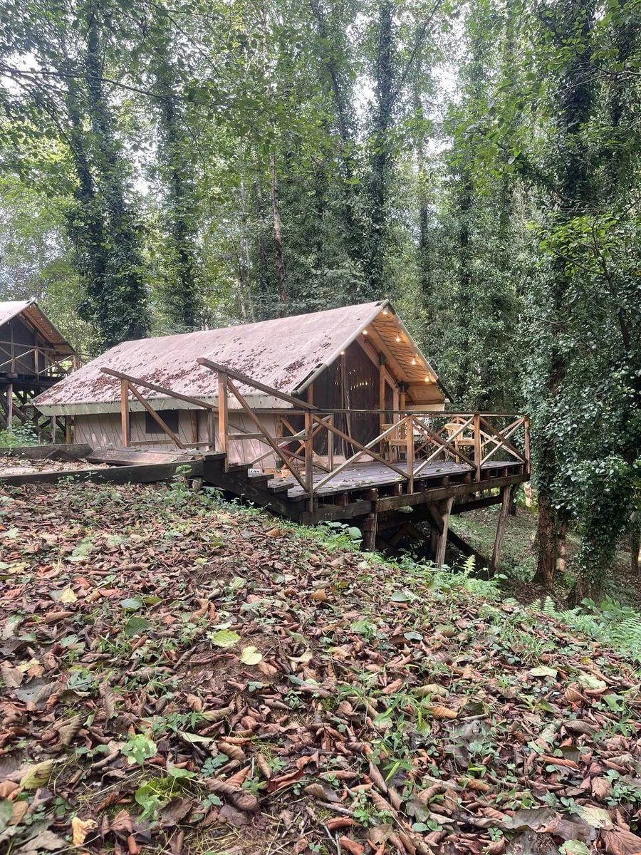 Фото отеля GLAMPING GARUDA (ГАРУДА ГЛЭМПИНГ)