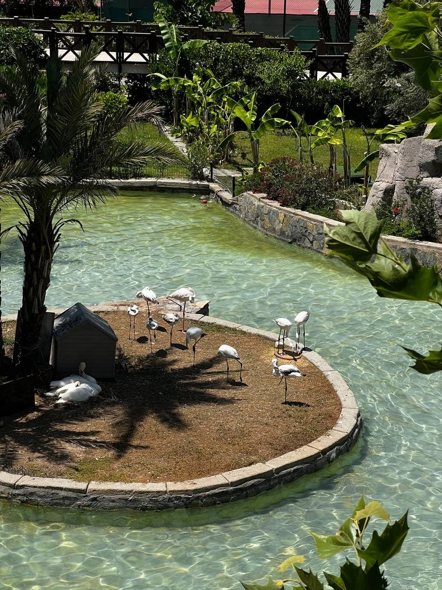 Фото отеля DOBEDAN WORLD PALACE (EX. ALVA DONNA WORLD PALACE)