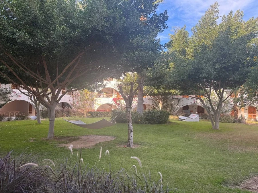 Фото отеля DESERT ROSE RESORT