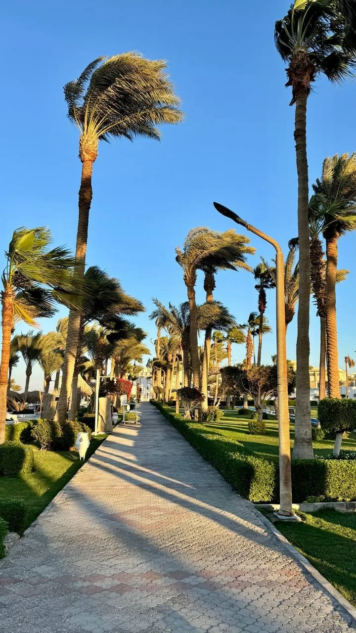 Фото отеля MERAKI RESORT SHARM EL SHEIKH ADULTS ONLY 16+