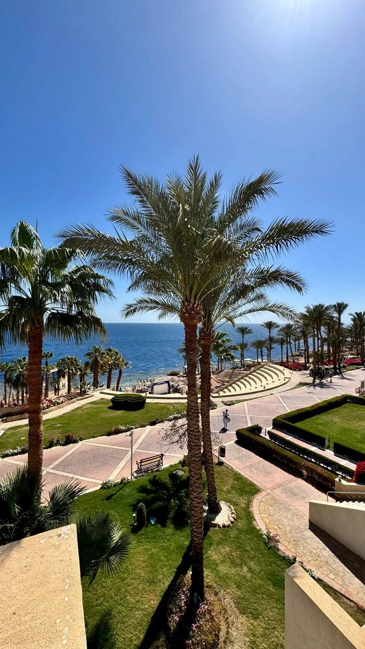 Фото отеля GRAND ROTANA RESORT & SPA